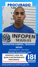 Logomarca - WEVERTON GABRIEL TRINDADE NEVES