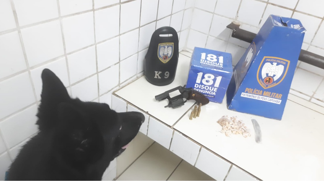 WhatsApp Image 2026-01-29 at 08.41.47