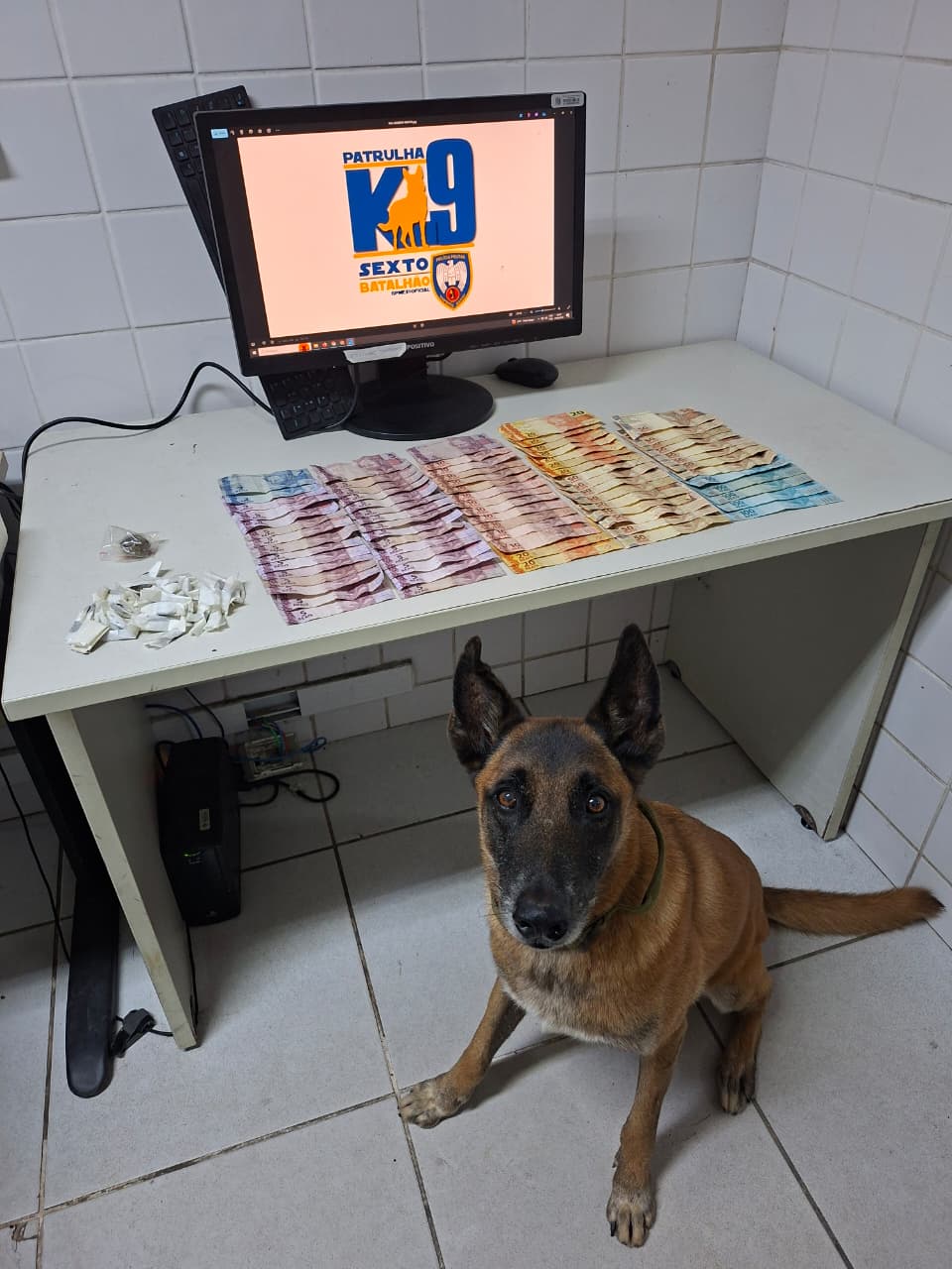 WhatsApp Image 2026-03-27 at 07.46.24