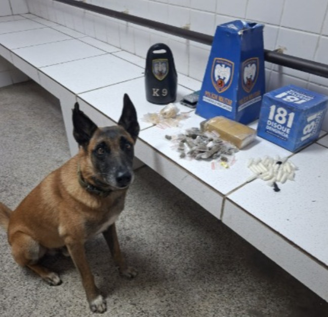 WhatsApp Image 2026-04-10 at 08.56.38