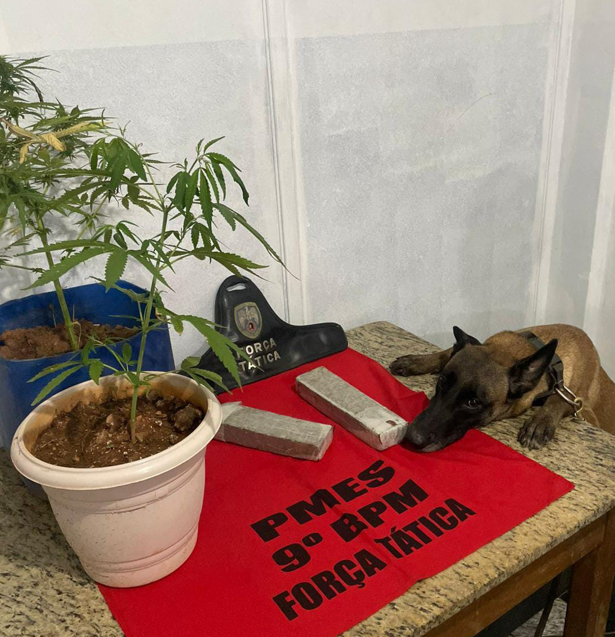 Captura de tela 2025-12-05 102939