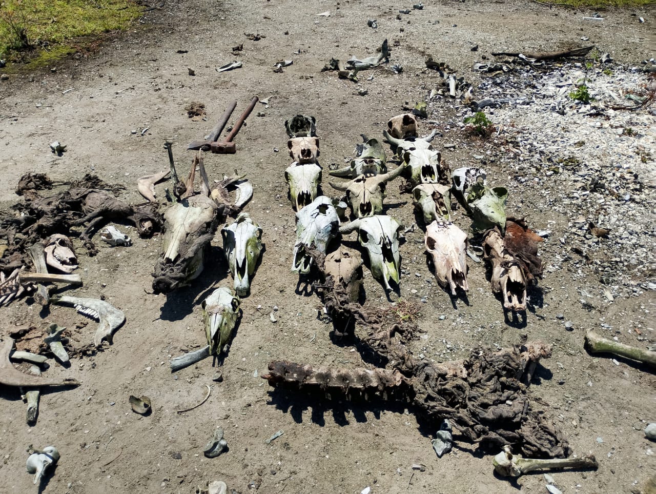 WhatsApp Image 2025-11-13 at 12.06.43 (3)