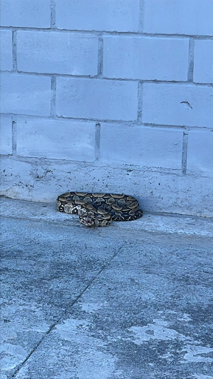 WhatsApp Image 2025-11-30 at 14.57.00