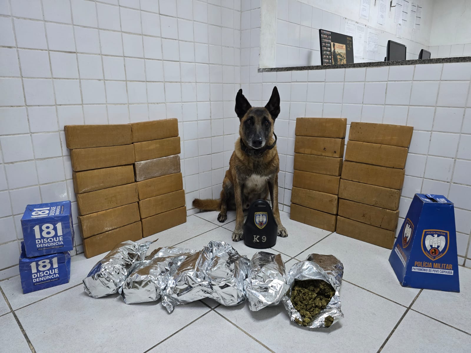 WhatsApp Image 2025-12-03 at 18.19.59