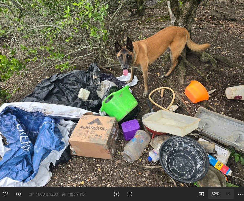 WhatsApp Image 2025-12-19 at 09.20.03