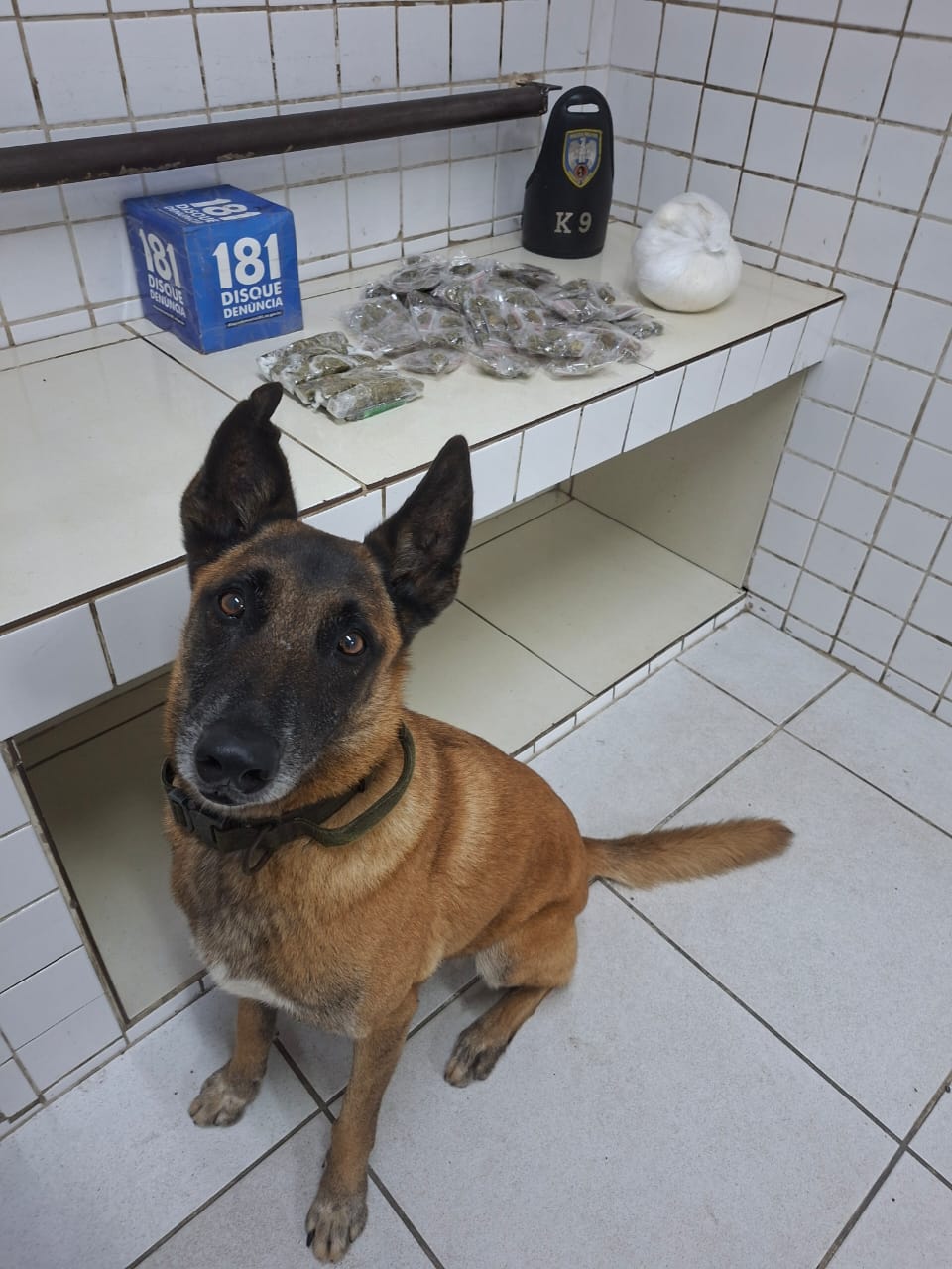 WhatsApp Image 2025-12-22 at 21.36.03