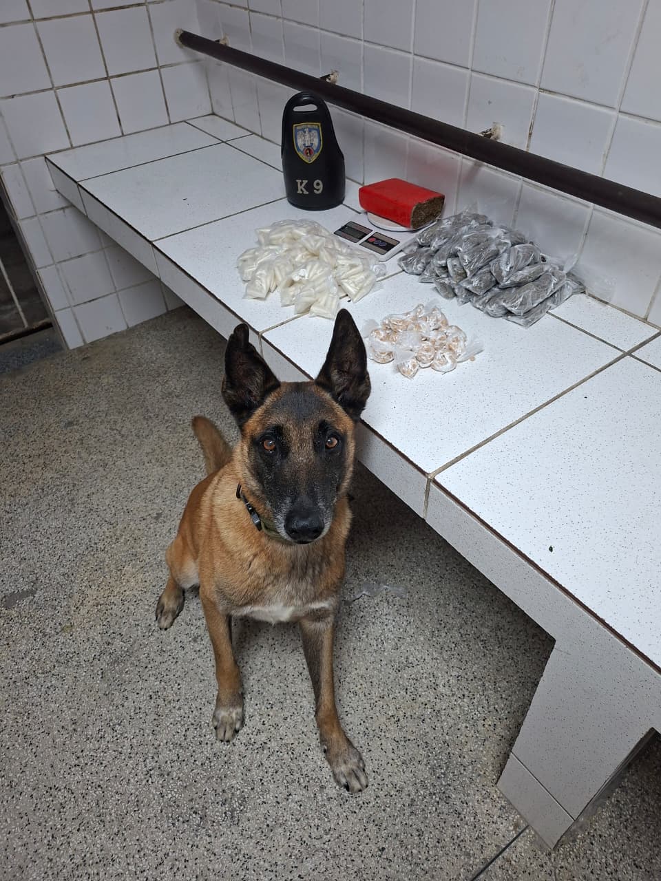 WhatsApp Image 2026-01-01 at 19.19.27