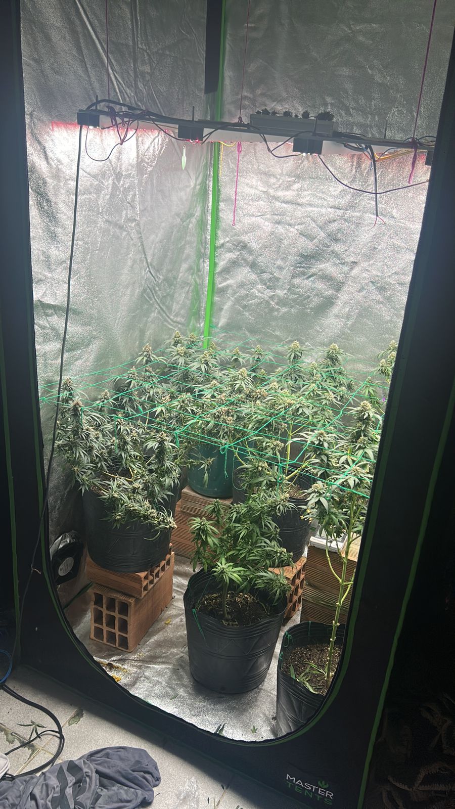 WhatsApp Image 2026-01-20 at 19.57.25 (2)