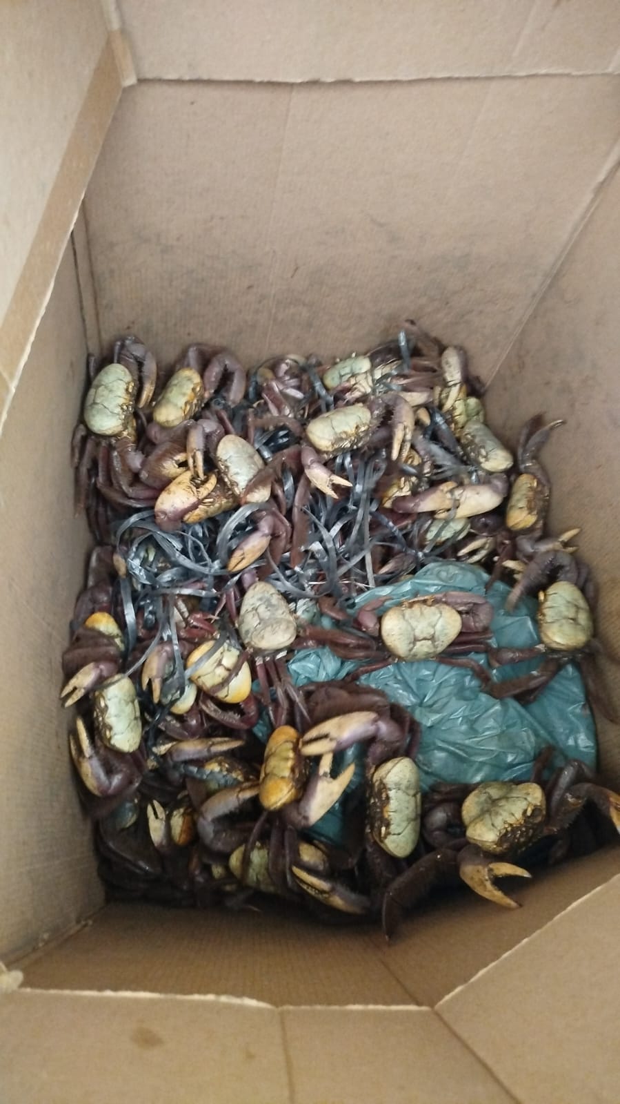 WhatsApp Image 2026-01-24 at 11.31.22