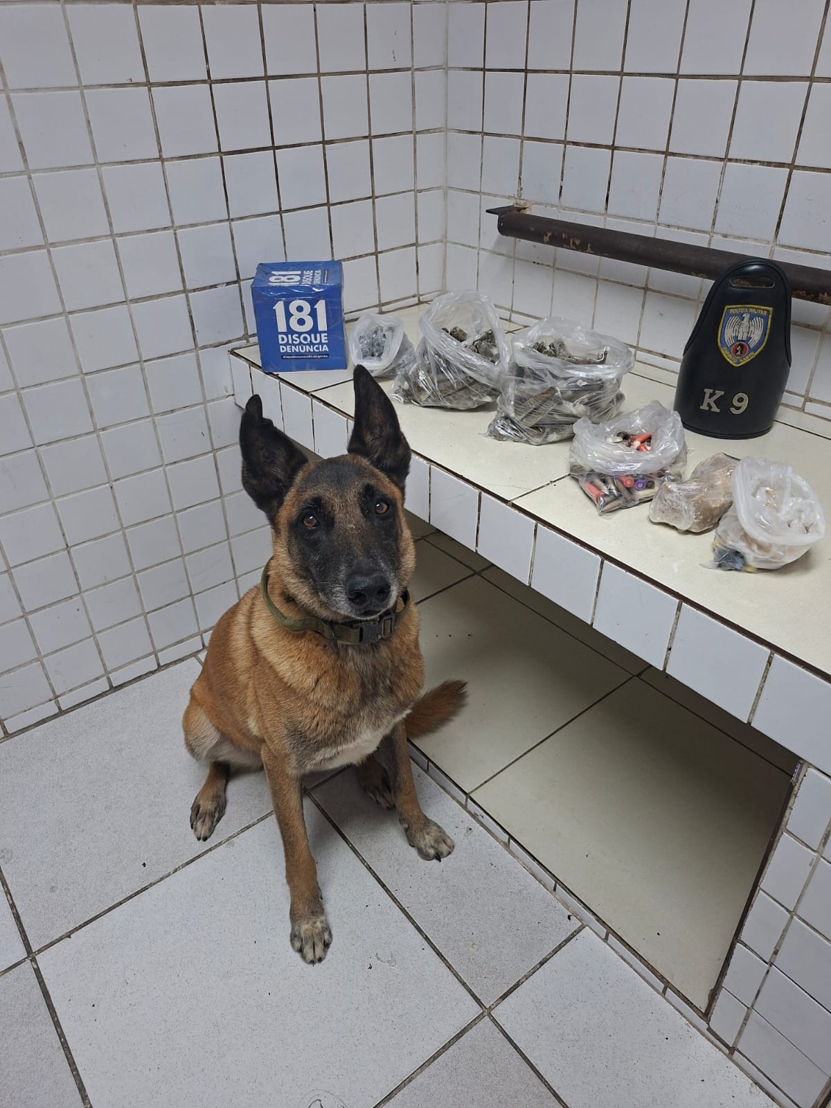 WhatsApp Image 2026-02-13 at 08.16.47