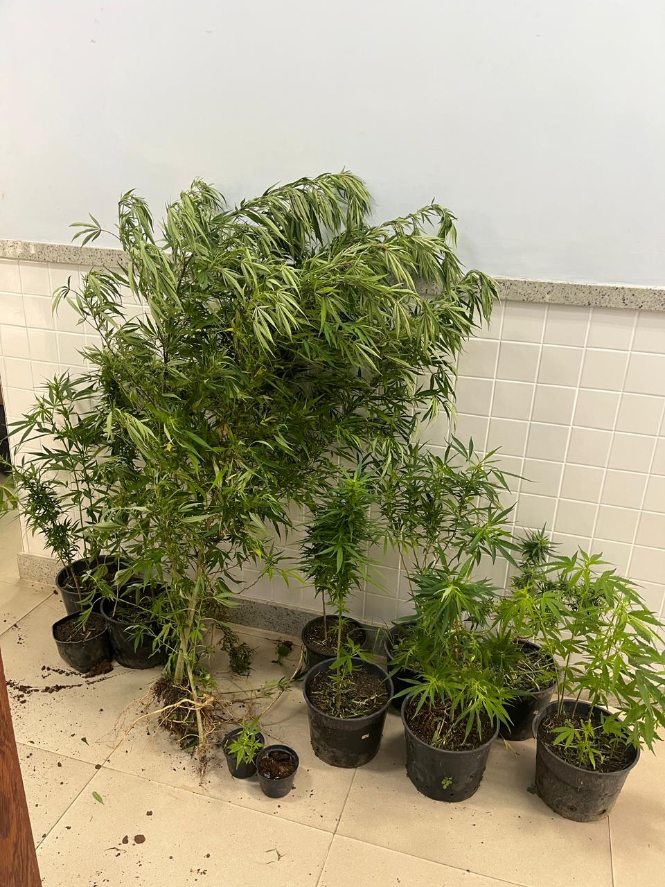 WhatsApp Image 2026-02-13 at 10.00.51 (1)