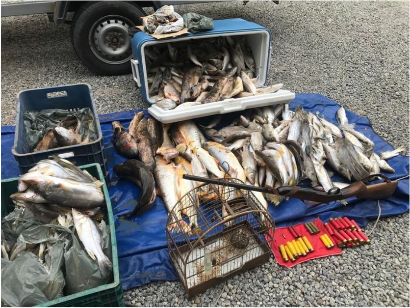 bpma pesca ilegal