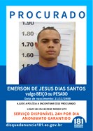 Logomarca - EMERSON DE JESUS DIAS SANTOS