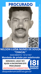 Logomarca - NELSON LUZIA NUNES DE SOUZA