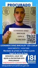 Logomarca - LEONARDO DINIZ BIRCHLER