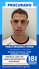 Logomarca - PABLO BRAMBATI VIEIRA
