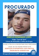 Logomarca - VINICIUS DOMINGOS LOPES - VULGO "CARA DE VACA"