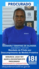Logomarca - WANDERLY MARTINS DE OLIVEIRA