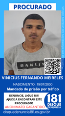 Logomarca - VINICIUS FERNANDO MEIRELES