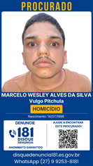 Logomarca - MARCELO WESLEY ALVES DA SILVA - VULGO PITCHULA
