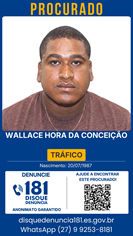 Logomarca - WALLACE HORA DA CONCEICAO