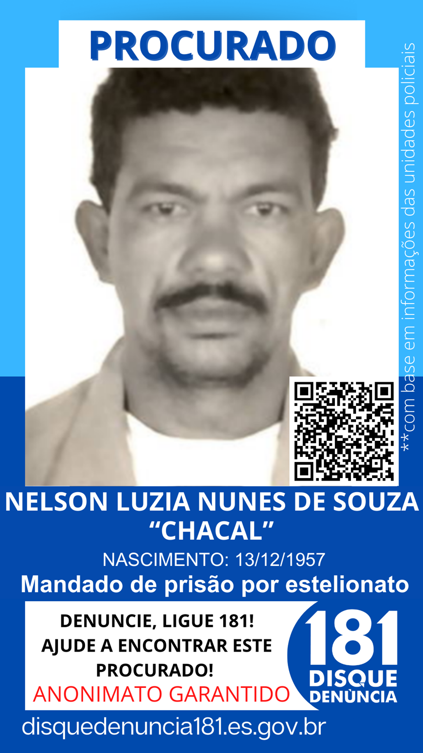 Logomarca - NELSON LUZIA NUNES DE SOUZA